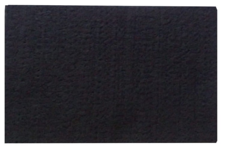 Filtr wlotowy do odkurzacza Zelmer Meteor Cobra Admiral 1010.0015