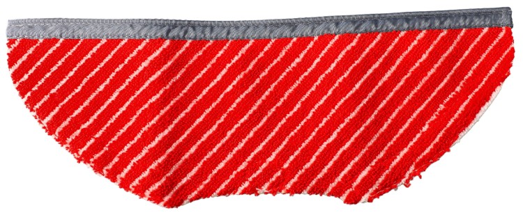 Ściereczka do odkurzacza Tefal Rowenta X-plorer 95 ZR792000 widok 2